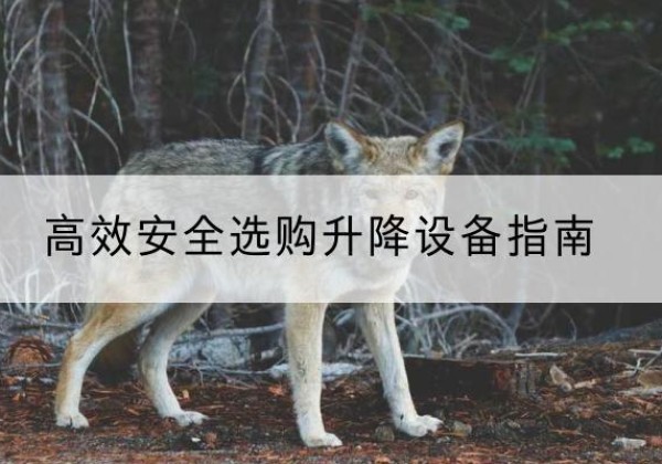 潮安升降货梯厂家推荐-*安全选购升降设备指南