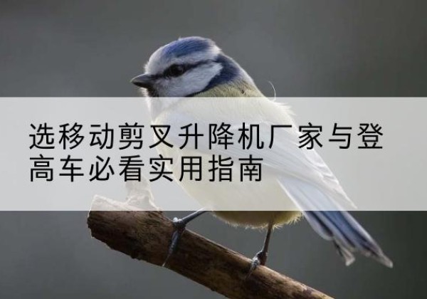 潮安电动升降机厂家-选移动剪叉升降机厂家与登高车必看实用指南