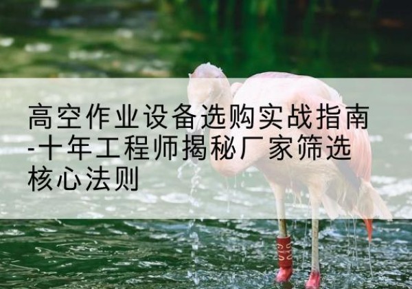 潮安剪叉式升降机厂家-高空作业设备选购实战指南-十年工程师揭秘厂家筛选核心法则